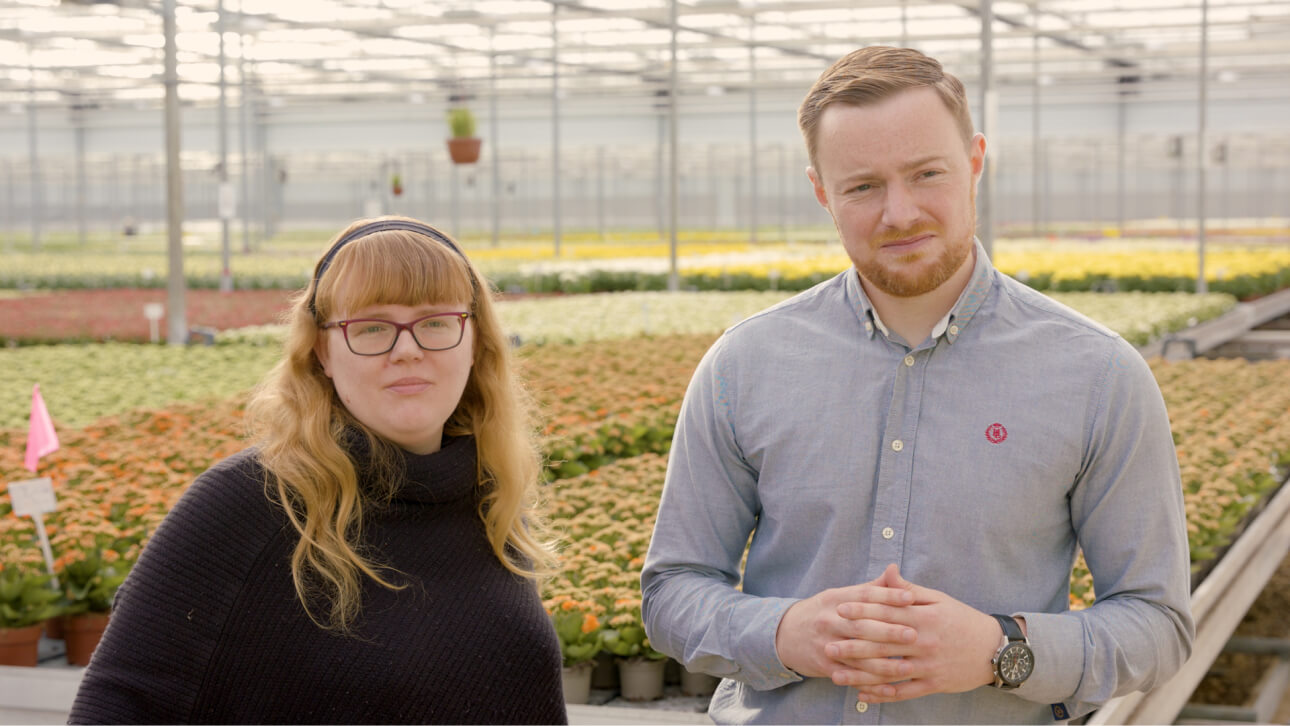 Greenhouse at Double H Nurseries, utilising Three Business's 5G network for real-time monitoring and scalability.